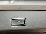 Volkswagen Golf VIII 2.0 TDI Alltrack 4Motion/ - náhled 24