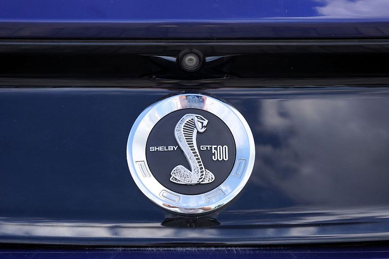 Ford Mustang 5.0 GT V8 330 KW/AT/GT 500/DPH - fotka 15 z 25