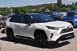 Toyota RAV4 2.5 Hybrid 131kW 4x4 Kůže - náhled 1