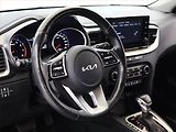 Kia Ceed (2023) 1.5 T-GDI, Automat, ČR,1.maj - náhled 18