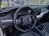 Škoda Octavia 2.0 TDI Style Combi,ČR,1.Maj. - náhled 20