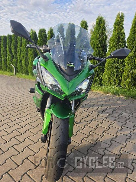 Kawasaki Ninja 1000 SX (2020) - fotka 10 z 20