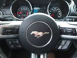 Ford Mustang (2015) 3.7i, 224kW, Manuál - náhled 17