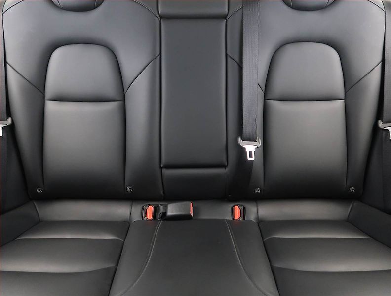 Tesla Model 3 (2021) Std Range Plus LFP, SoH 92% - fotka 10 z 32
