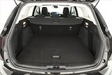 Ford Focus (2024) Titanium 1.0 MHEV, Automat, ČR - náhled 19