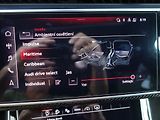 Audi SQ7 (2022) 4.0*TFSI*373KW*TOP-VÝB*ZÁRUKA! - náhled 33