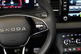 Škoda Karoq - náhled 17