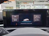 Volkswagen T-Roc (2026) Life 1.5 eTSI,DSG,85kW,Záruka - náhled 10