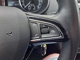 Škoda Octavia (2018) 1.4 TSi  110 Kw ČR - náhled 10