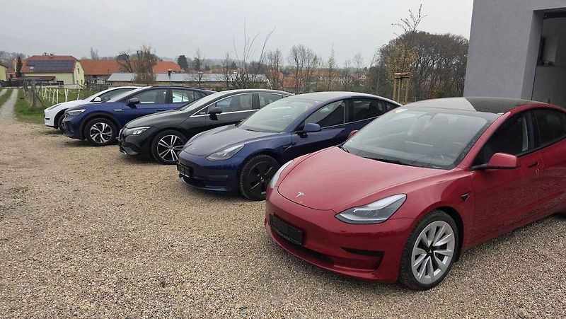 Dovoz elektromobilů se zvýšil.