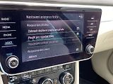 Škoda Superb (2020) 2.0 TSI DSG L&K - náhled 22