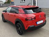 Citroën C4 Cactus (2019) 1,2 - PT - Panorama - náhled 9