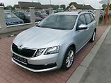 Škoda Octavia (2019) 2,0TDI 4x4 DSG AC - náhled 1