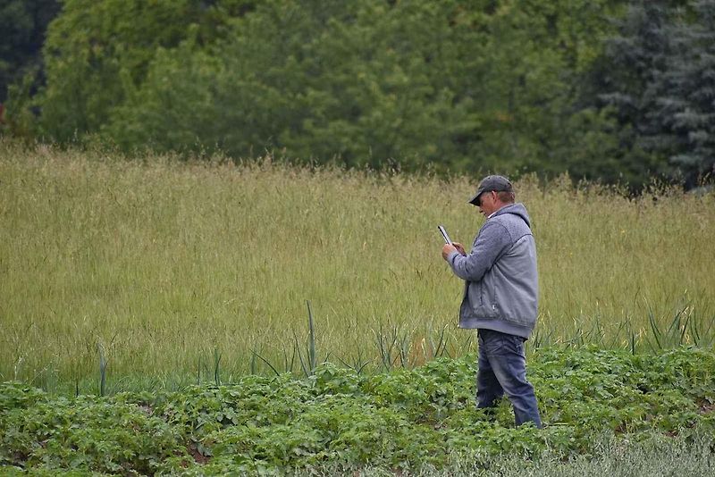 Poláci otevřou během letních prázdnin poslední úsek S3 u hranic s Českem Bolków - Kamienna Góra. V úterý tam prováděli cvičení záchranných složek.