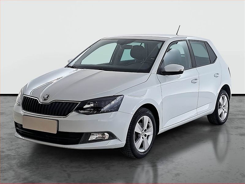 Škoda Fabia (2015) 1.2 TSI, Tempomat - fotka 2 z 20