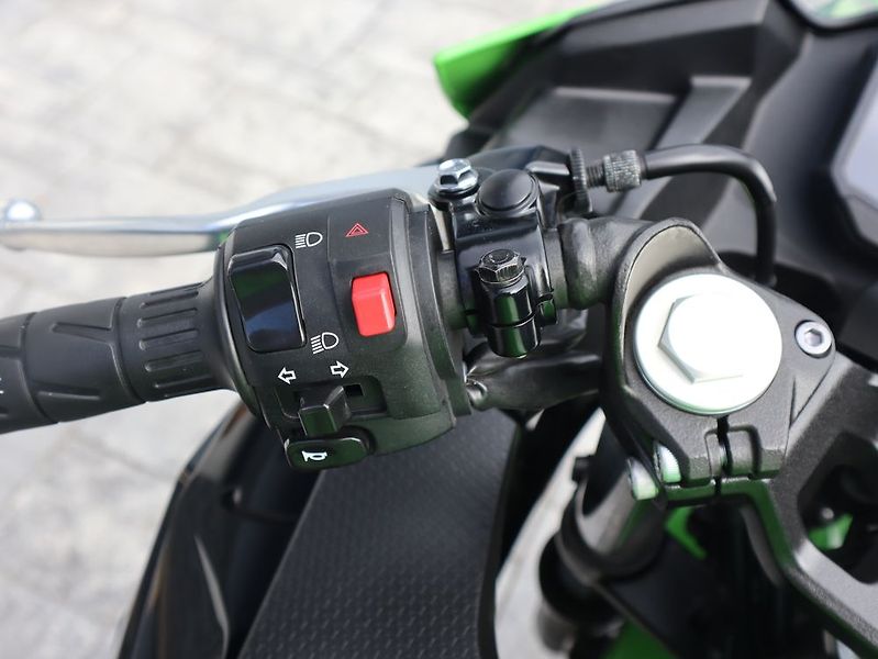 Kawasaki (2025) - fotka 15 z 22