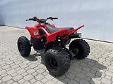 CFMOTO (2026) Gladiator X110 LE - náhled 7