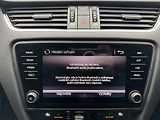 Škoda Octavia (2020) 2.0TDi DSG LED Navi Kamera - náhled 10