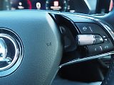 Škoda Octavia (2021) 2.0 TDI, Ambition, Navi - náhled 23