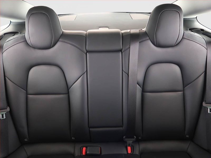 Tesla Model 3 (2020) Std Range Plus 52kWh, SoH 84% - fotka 10 z 22