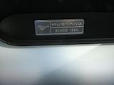 Ford Mustang (2015) kabriolet - náhled 30