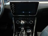 Škoda Superb (2019) 2.0 TDI, DSG, navi, xenon - náhled 13