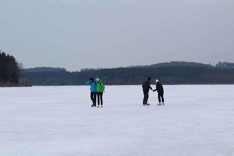 U Horní Plané se na zamrzlém Lipně vesele bruslí. Sem tam tudy ale na druhý břeh přejede i auto. Jen o pár set metrů dál přitom stále jezdí přívoz.