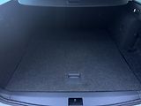 Škoda Octavia (2018) III RS230 2.0TSi MAN, ACC, AFS - náhled 22