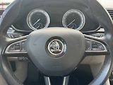 Škoda Superb (2016) 2.0TSi 4x4, ČR, DSG, bixen - náhled 13