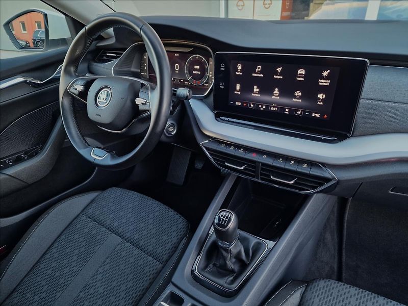Škoda Octavia 2.0 TDI Style Combi,ČR,1.Maj. - fotka 39 z 49