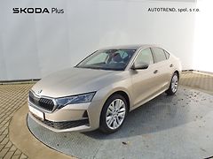 Škoda Octavia (2024) Top Selection 2,0 TDI 110kW DS - fotografie inzerátu