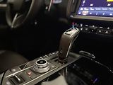 Maserati Levante (2021) 3.0 V6,DIESEL, PO 1 MAJITELI - náhled 34