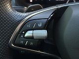Škoda Scala 1.0TSi DSG Monte Carlo 116PS M - náhled 18
