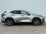 Lexus NX 350h 2,5 HSD e-CVT Executive 4×4 E- - náhled 8