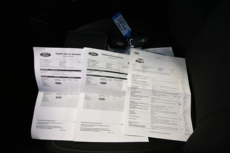 Ford S-MAX (2020) 2.0 140 KW LED SONY ACC 8AT EC - fotka 34 z 37
