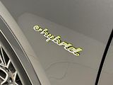 Porsche Cayenne E-HYBRID 250kW AWD AUT CZ - náhled 41