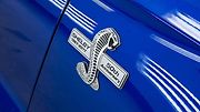 Shelby Super Snake 50th Anniversary.
