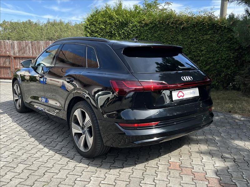 Audi e-tron 50 Quattro Proline Limited - fotka 3 z 38