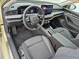 Škoda Superb (2025) Selection 2.0 TDI 110kW DSG - náhled 12