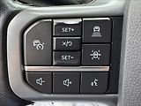 Ford F-150 5,0 V8 298kW - náhled 30