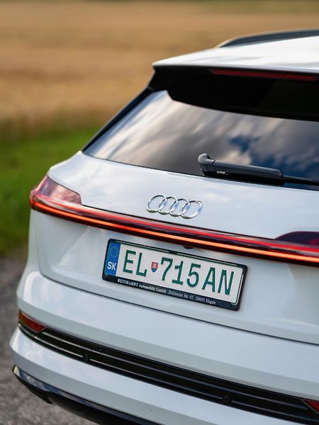 Audi e-tron (2020) /300kW - fotka 20 z 51