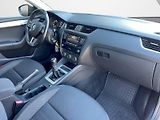 Škoda Octavia (2019) 1.5 TSI 110kW Ambition Plus co - náhled 19