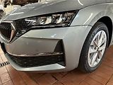 Škoda Octavia (2026) 2,0 TDI 110 kW 7-stup. automat - náhled 17