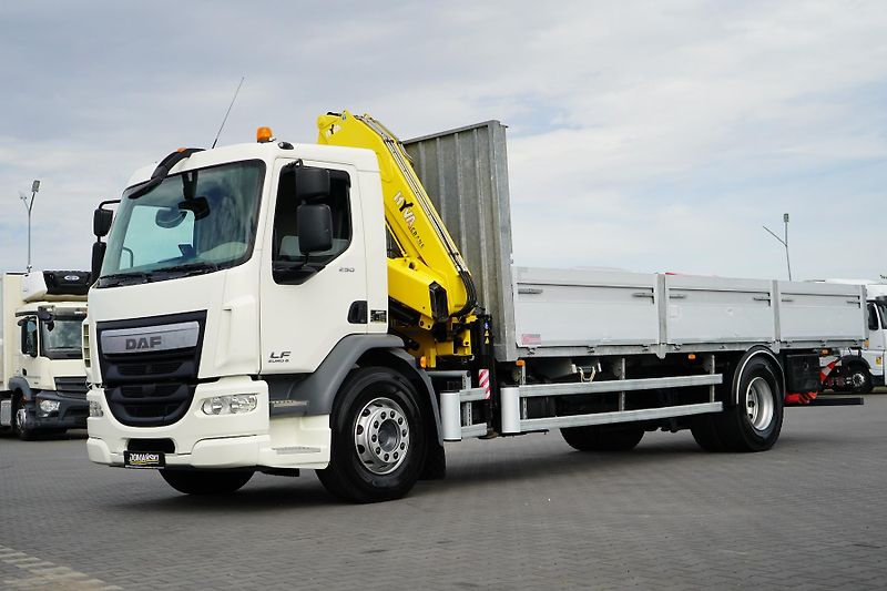 DAF LF (2015) / 250 / SKRZYNIOWY + HDS / HYV - fotka 33 z 52