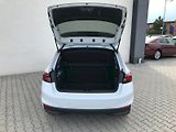 Škoda Fabia (2025) SELEC TS 85/1.0 A7F - náhled 9