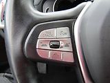 BMW X3 (2021) 2.0d xDrive20d, ČR, AT, navi - náhled 20
