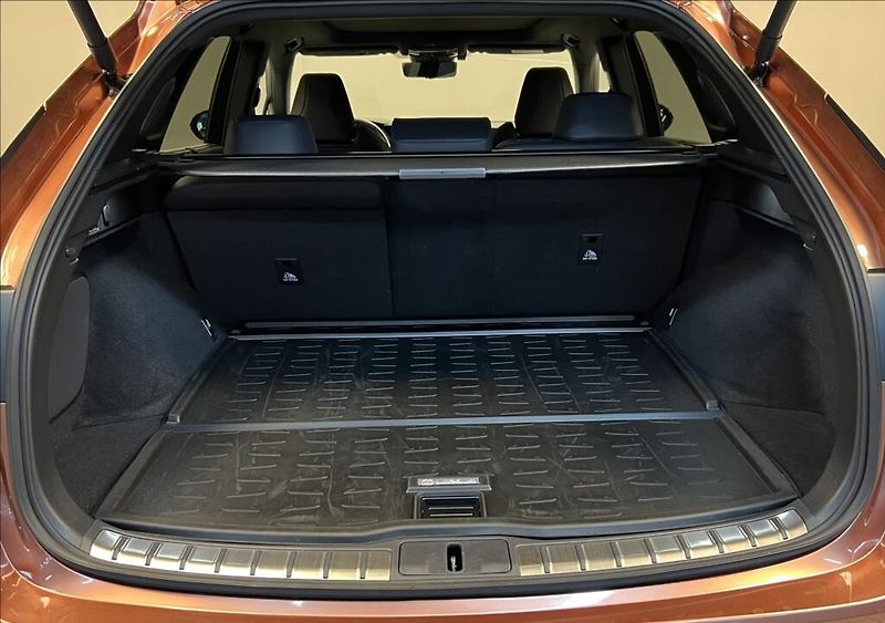 Lexus RX 500h 2,4 HEV F SPORT PLUS PANORAMIC - fotka 9 z 22