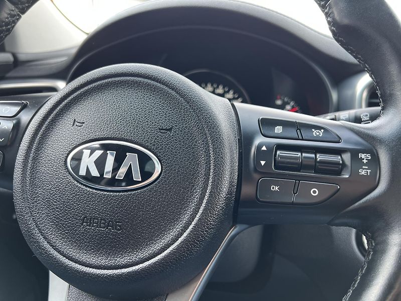 Kia Sorento 2.2CRDi REBEL 4x4 KŮŽE 7MÍST - fotka 17 z 52