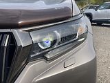 Toyota Land Cruiser 2.8D, ČR, Executive VIP, DPH - náhled 8