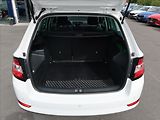 Škoda Fabia 1,0 TSi,70kW,1majČR,Serv.k,DPH - náhled 21